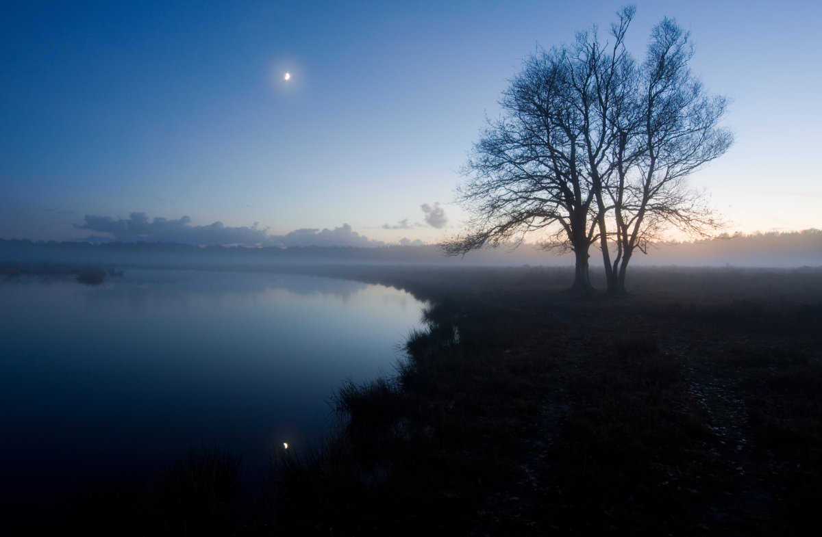 马怡欢的个人主页（封面预览） - 主页封面设置 - 站酷设计师马怡欢原创素材 - 站酷ZCOOL