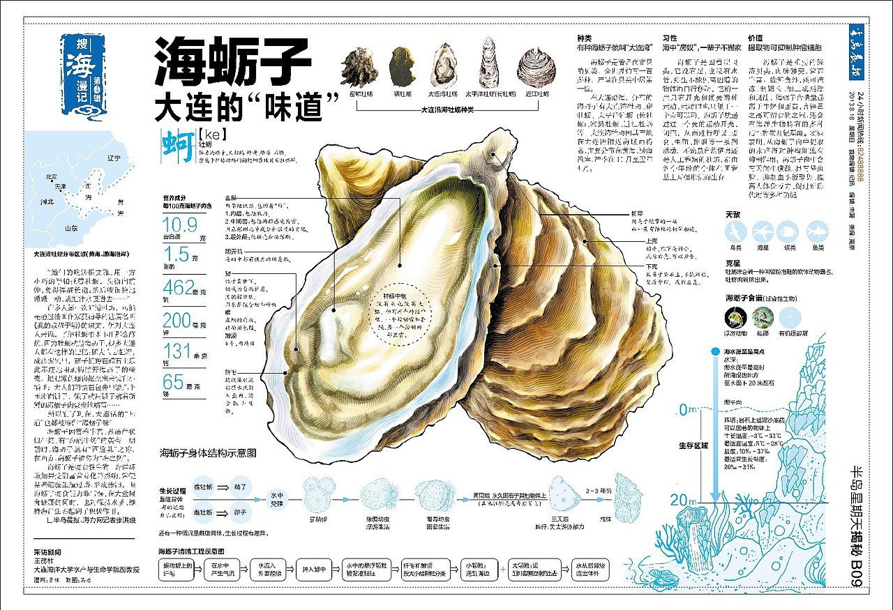 海蛎子篇