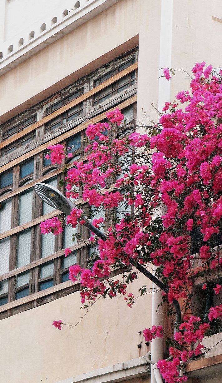 记录一周一逛之地。