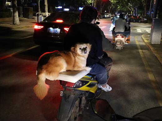 一家三口的座位