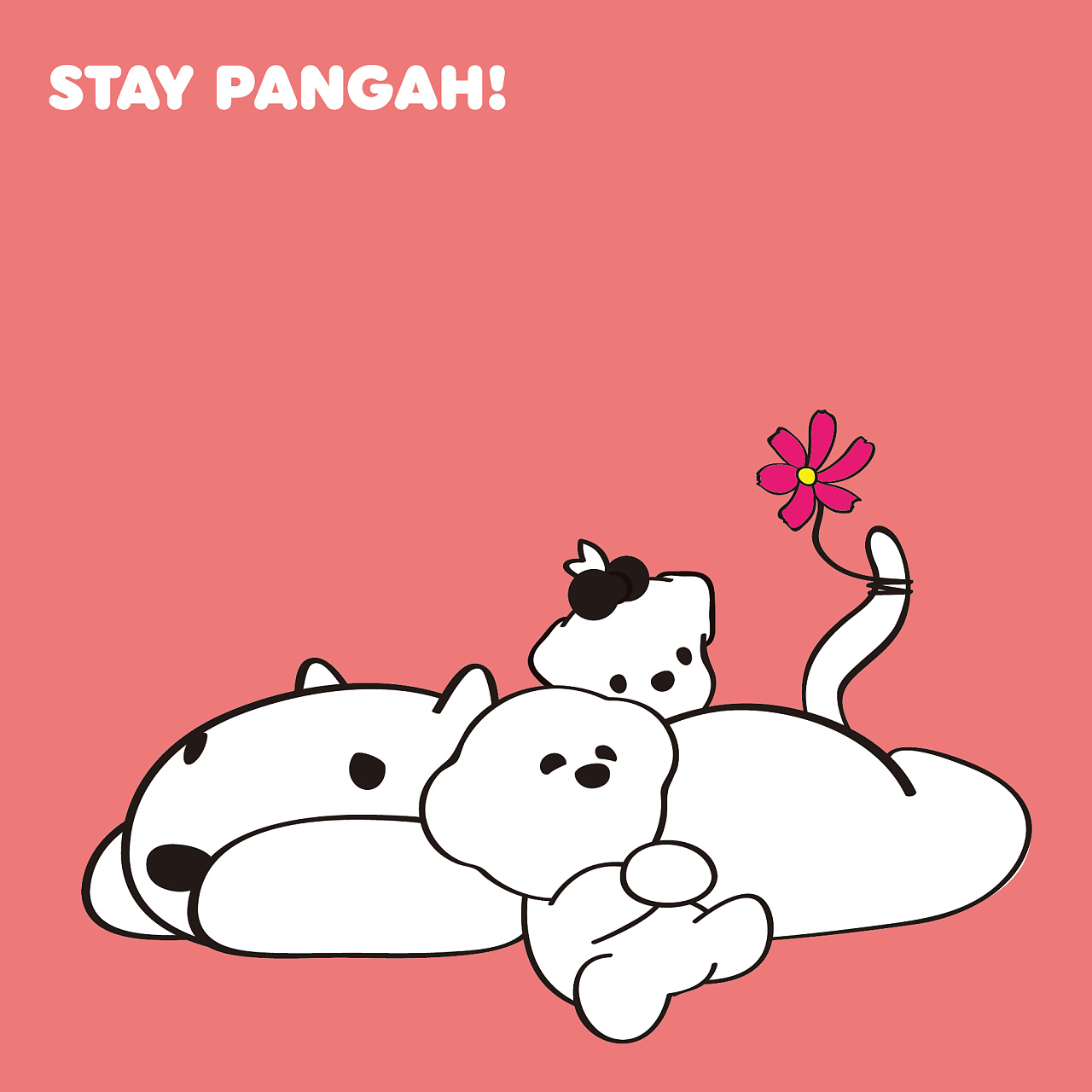 staypangah治愈比熊犬在此