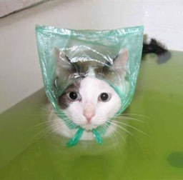 小野妹子天天作的个人主页（背景预览） - 主页背景设置 - 站酷设计师小野妹子天天作原创素材 - 站酷ZCOOL