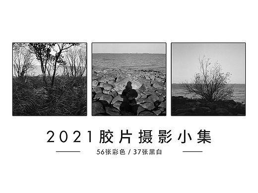 2021胶片随记/56张彩色/37张黑白 