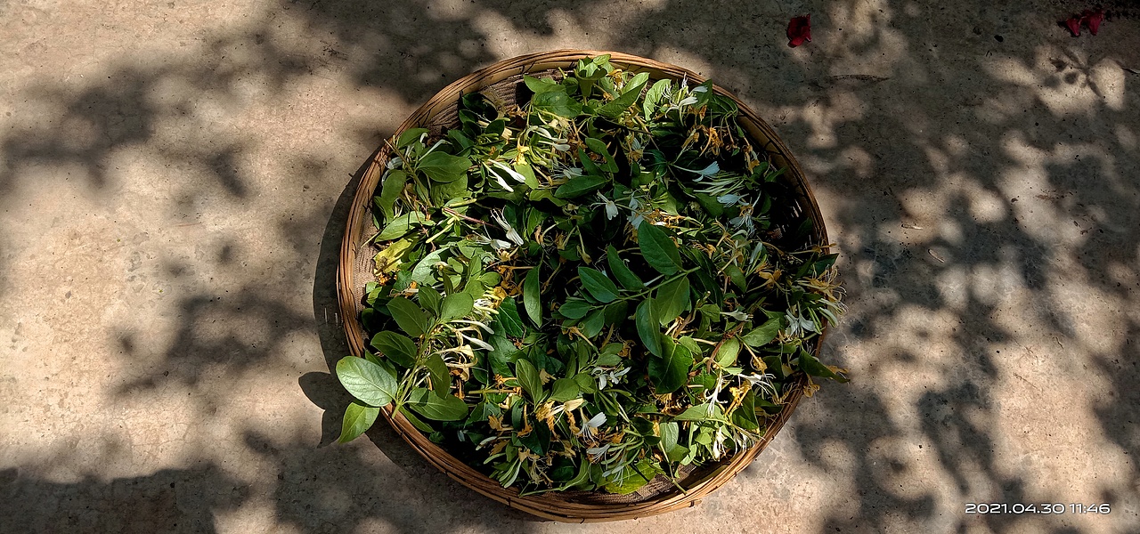 夏天（图ZMjUzMTU5NTE2） - 风光摄影 - 站酷设计师追逐者卢狄原创素材 - 站酷ZCOOL