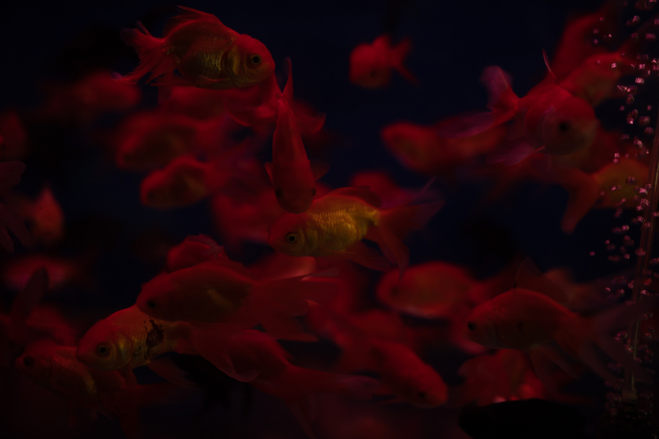 或许是练习册再写我