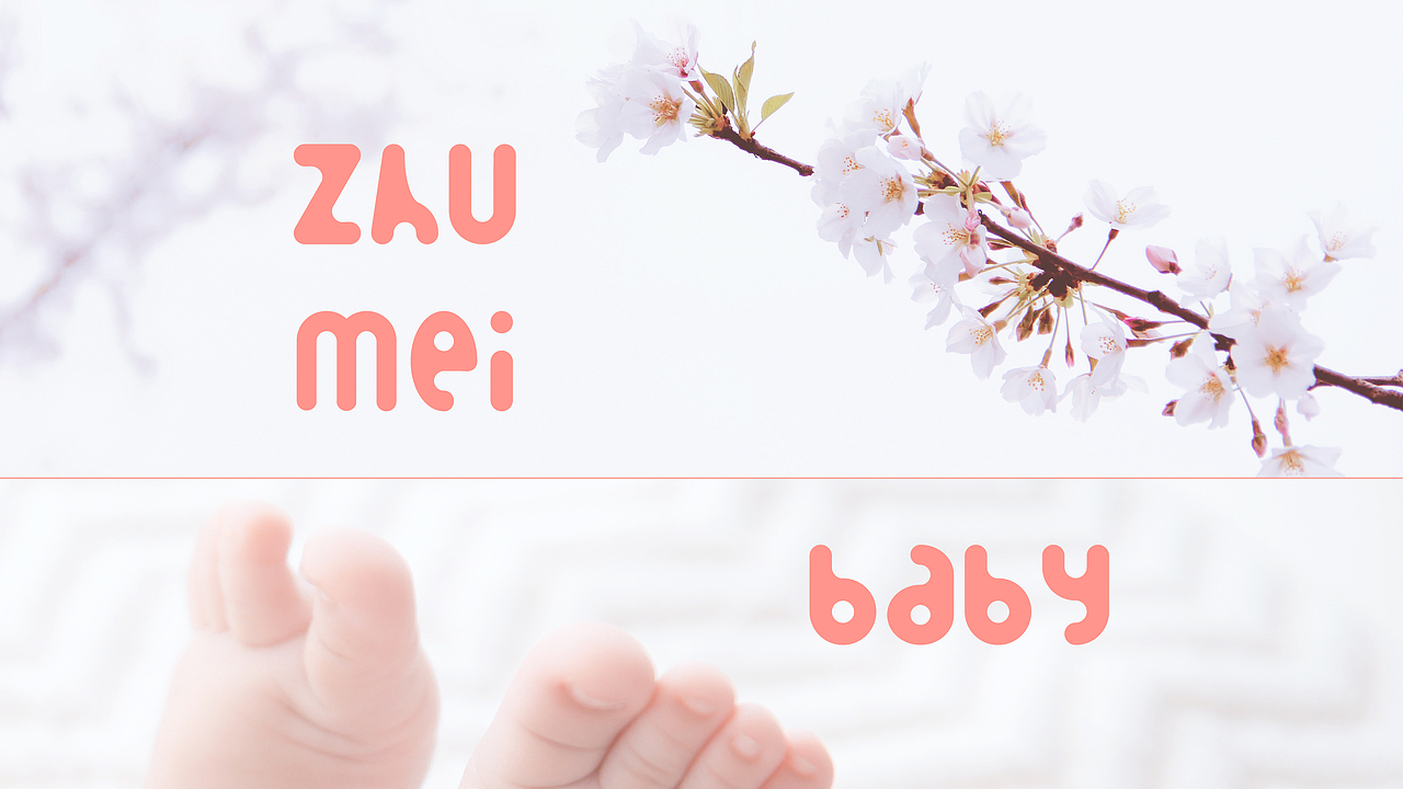 竺梅母婴品牌LOGO设计