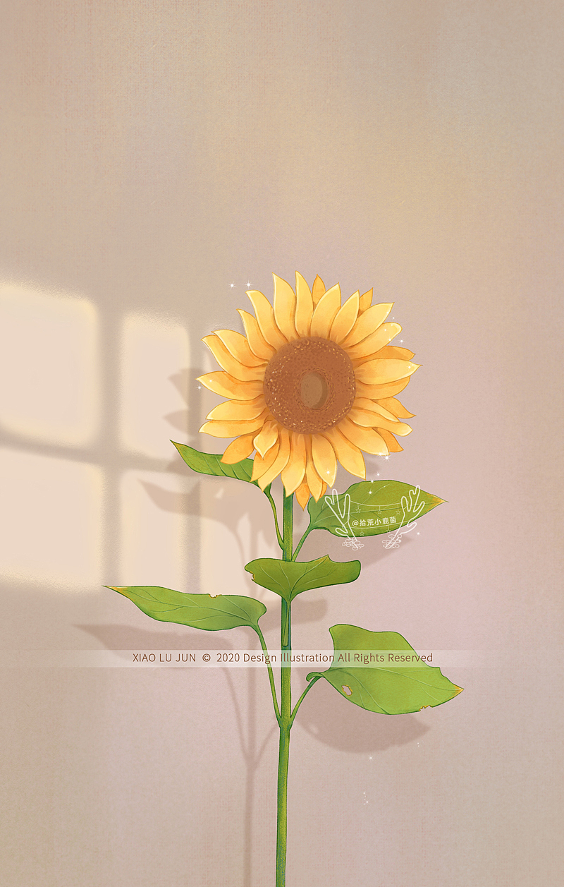 夏花系列10张（图ZMjE1NzMyOTAw） - 商业插画 - 站酷设计师拾荒小鹿菌原创素材 - 站酷ZCOOL