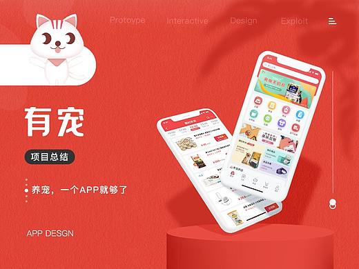 有宠商城APP - 项目总结 UI DESIGN