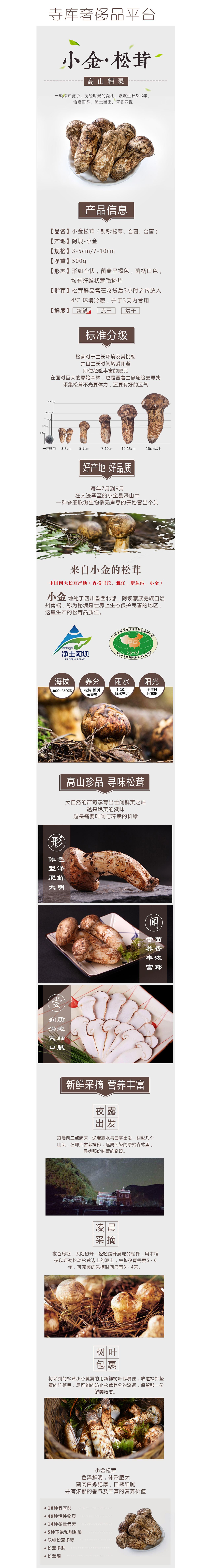 小金松茸（图ZMTIzNzcyMTYw） - 品牌 - 站酷设计师王姑娘w原创素材 - 站酷ZCOOL