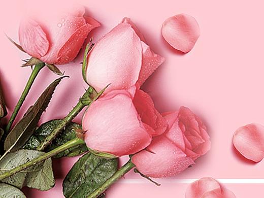 banner（個(gè)人主頁-ZNDQwNDIyMjg=） - 運(yùn)營(yíng)設(shè)計(jì) - 站酷設(shè)計(jì)師智慧女孩en原創(chuàng)素材 - 站酷ZCOOL