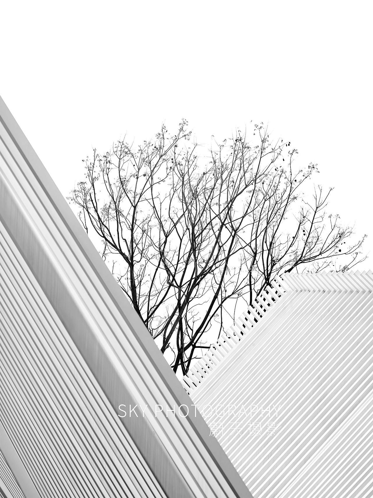 万科·未来森林 | 黄誉蔚建筑摄影