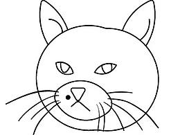 猫咪