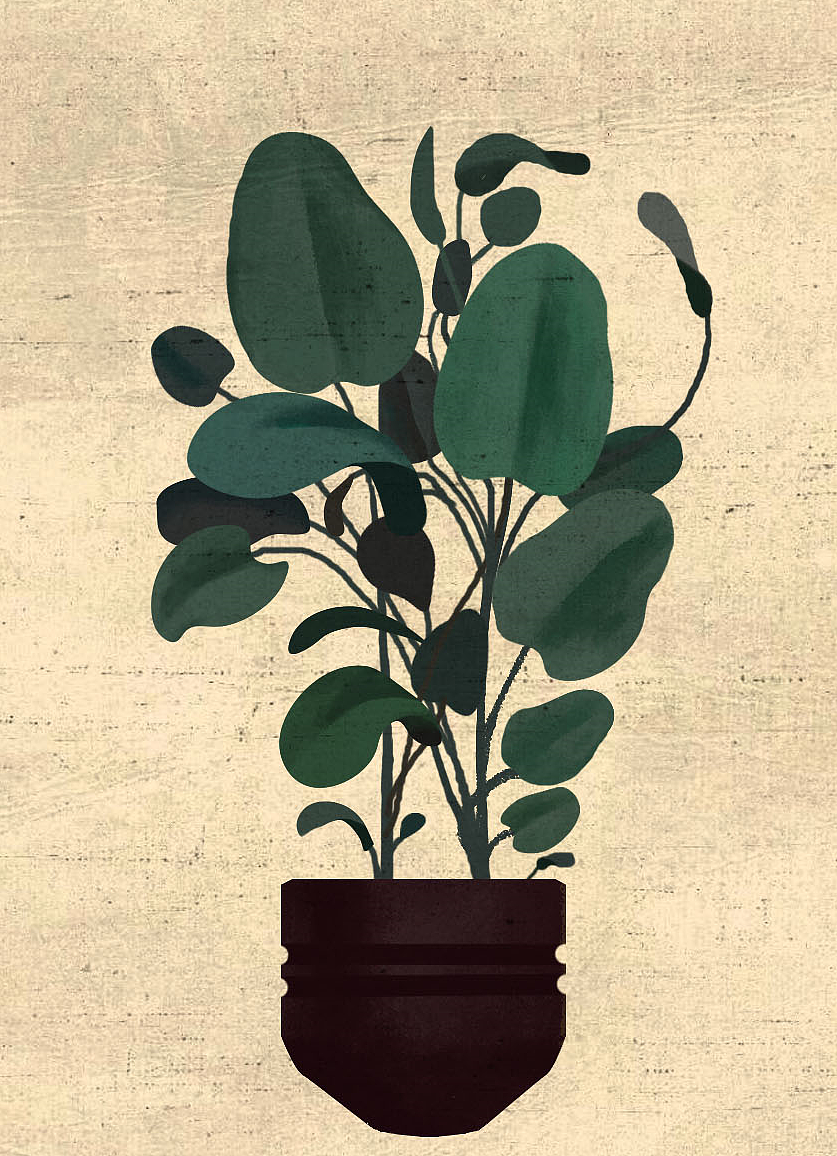 植物系列（图ZMTgwODA1ODgw） - 创作习作 - 站酷设计师五彩斑斓的我原创素材 - 站酷ZCOOL