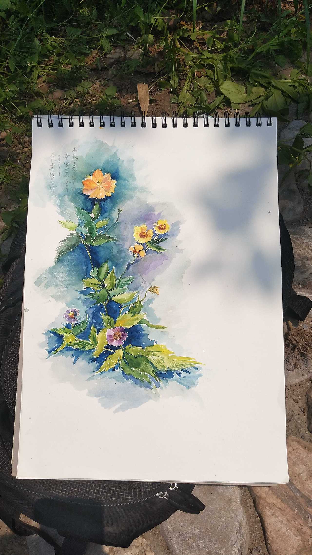 极其敷衍的写生作业