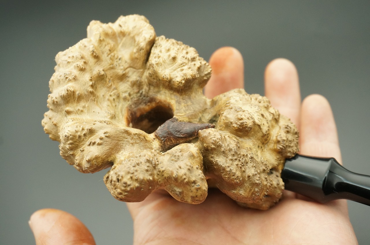 麻梨疙瘩 自由式烟斗