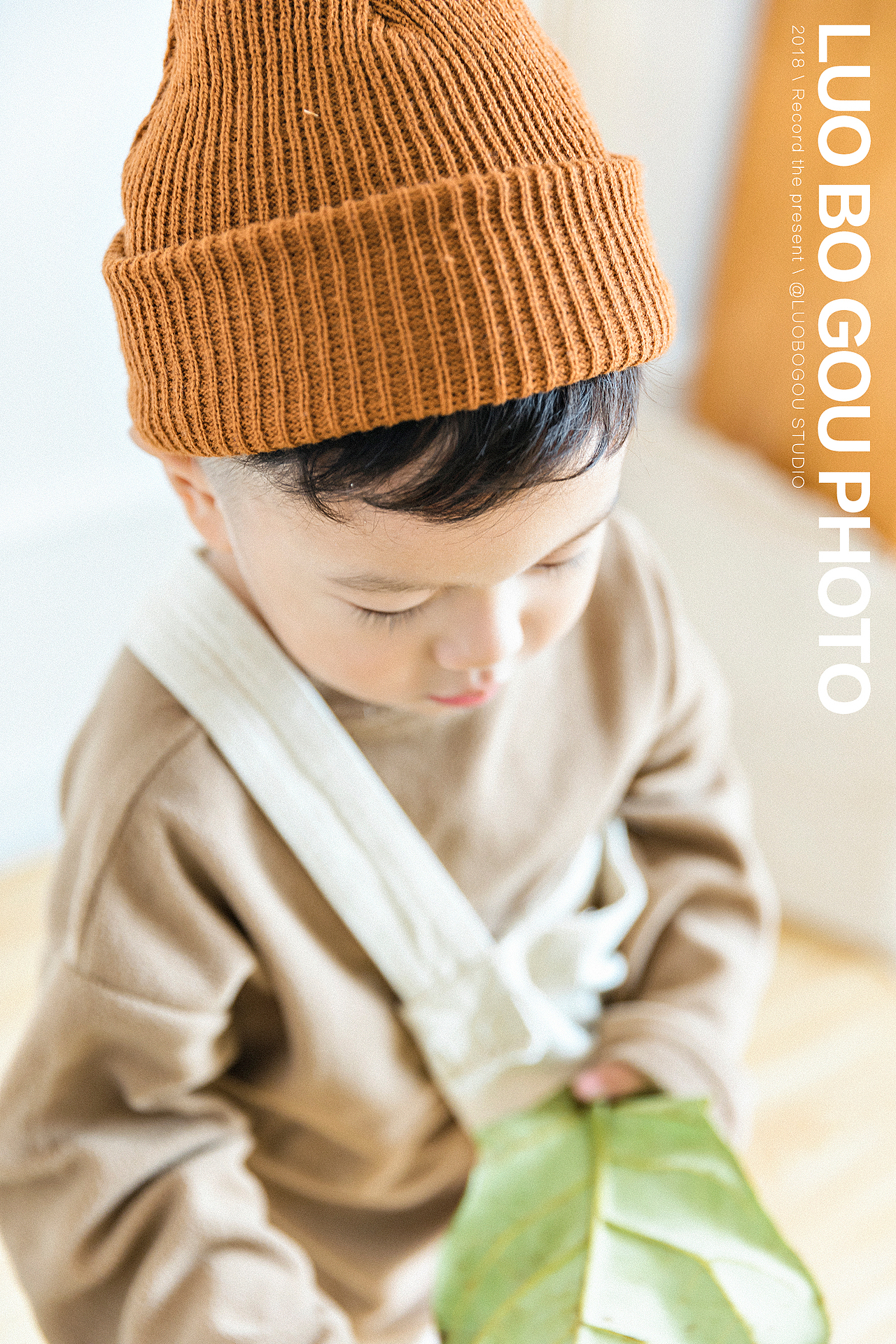 室内自然光摄影--洛阳萝卜狗摄影工作室