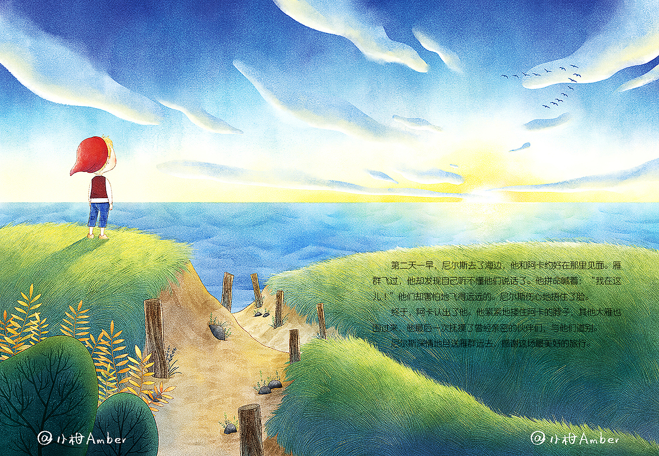 尼尔斯骑鹅旅行记（图ZMjI5Mjc1NTA0） - 儿童插画 - 站酷设计师小柑Amber原创素材 - 站酷ZCOOL