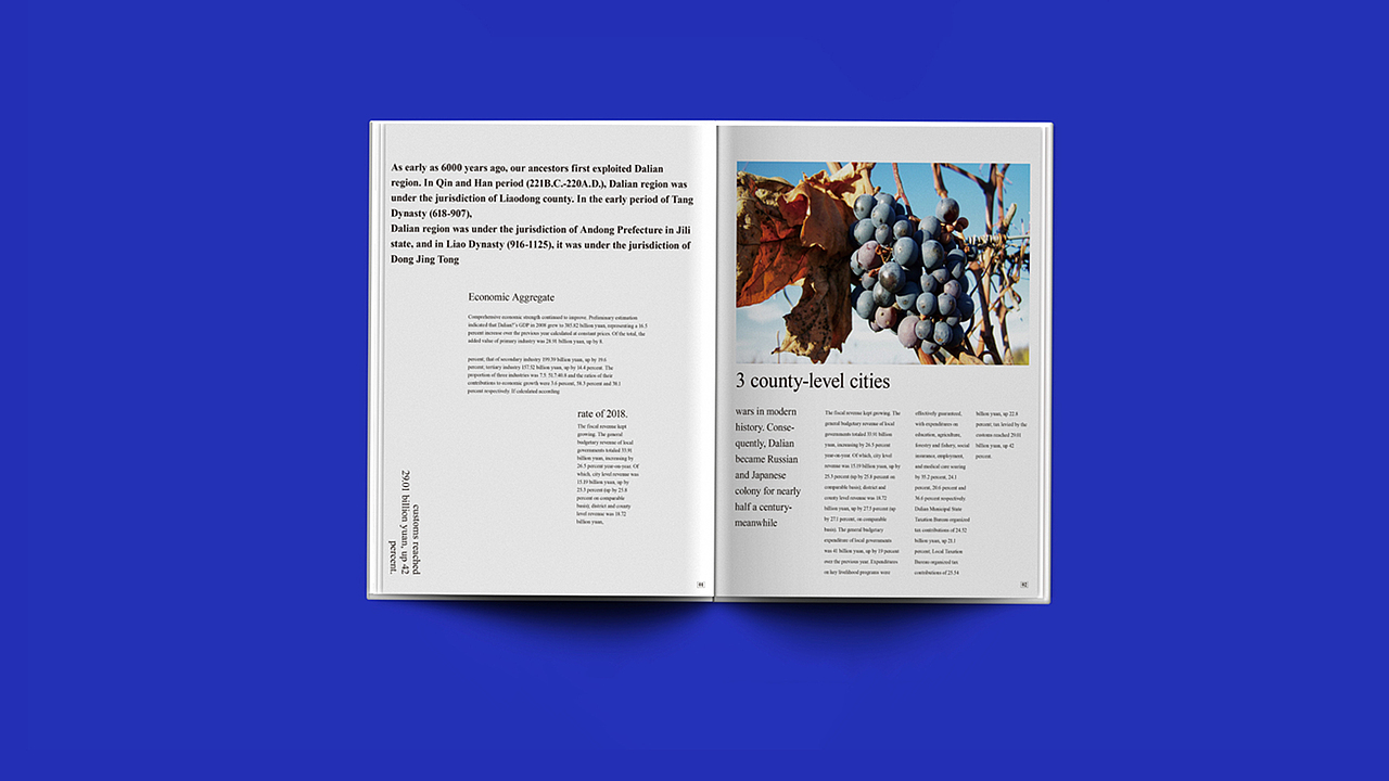 葡萄酒画册（图ZMTM2NTcwNzIw） - 品牌 - 站酷设计师IveyF原创素材 - 站酷ZCOOL