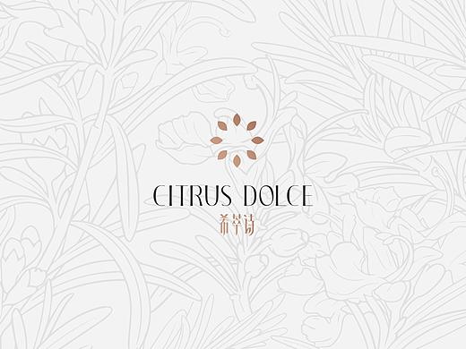 【希萃诗】化妆品品牌logo设计及包装设计