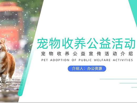 宠物收养公益宣传活动介绍PPT模板