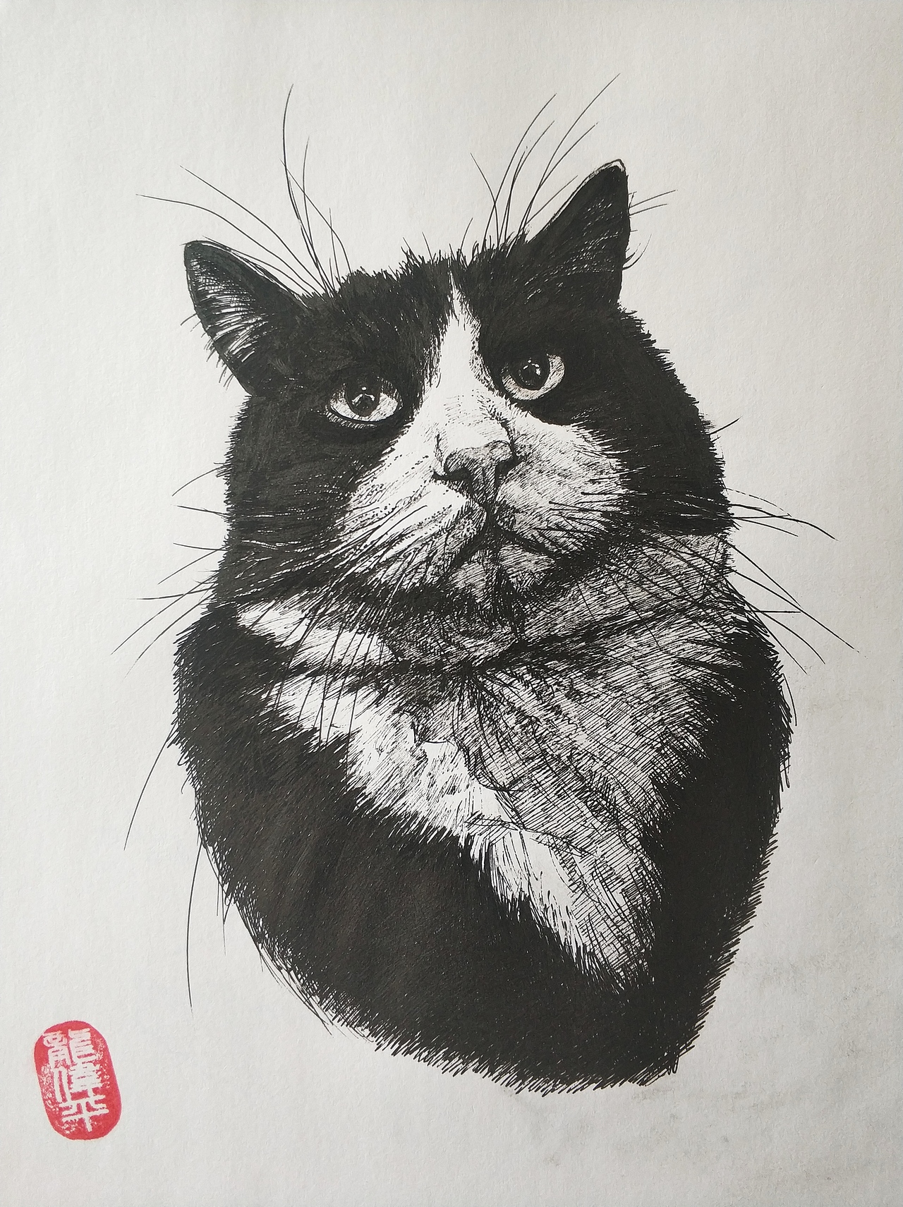 素描猫咪（图ZMjg0NjMxOTky） - 儿童插画 - 站酷设计师龙伟平原创素材 - 站酷ZCOOL