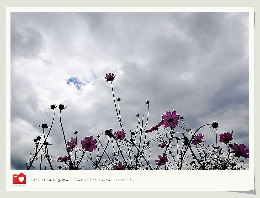 ◤岁月静好❤安然若素◢ 最接近天堂的地方，一轉身便是天涯（图ZNzE1MzIzNg==） - 风光摄影 - 站酷设计师咪噜咪噜原创素材 - 站酷ZCOOL