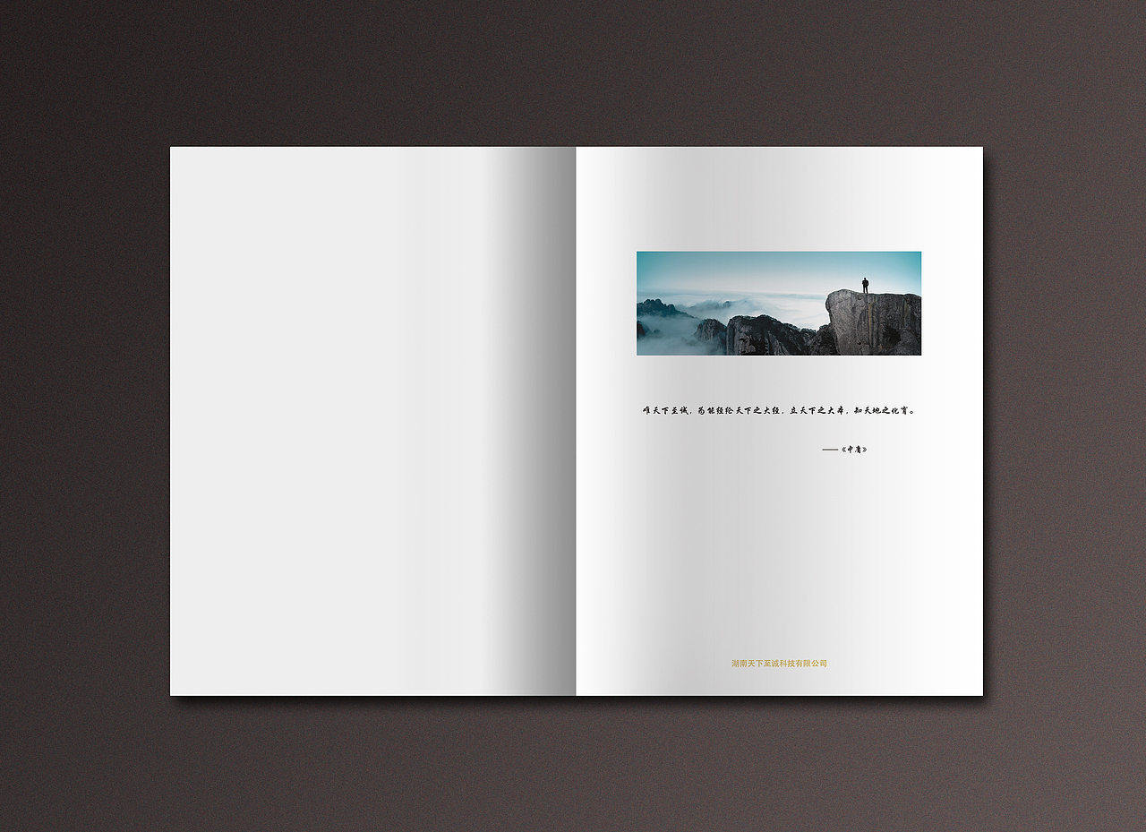 金融红色画册/手册