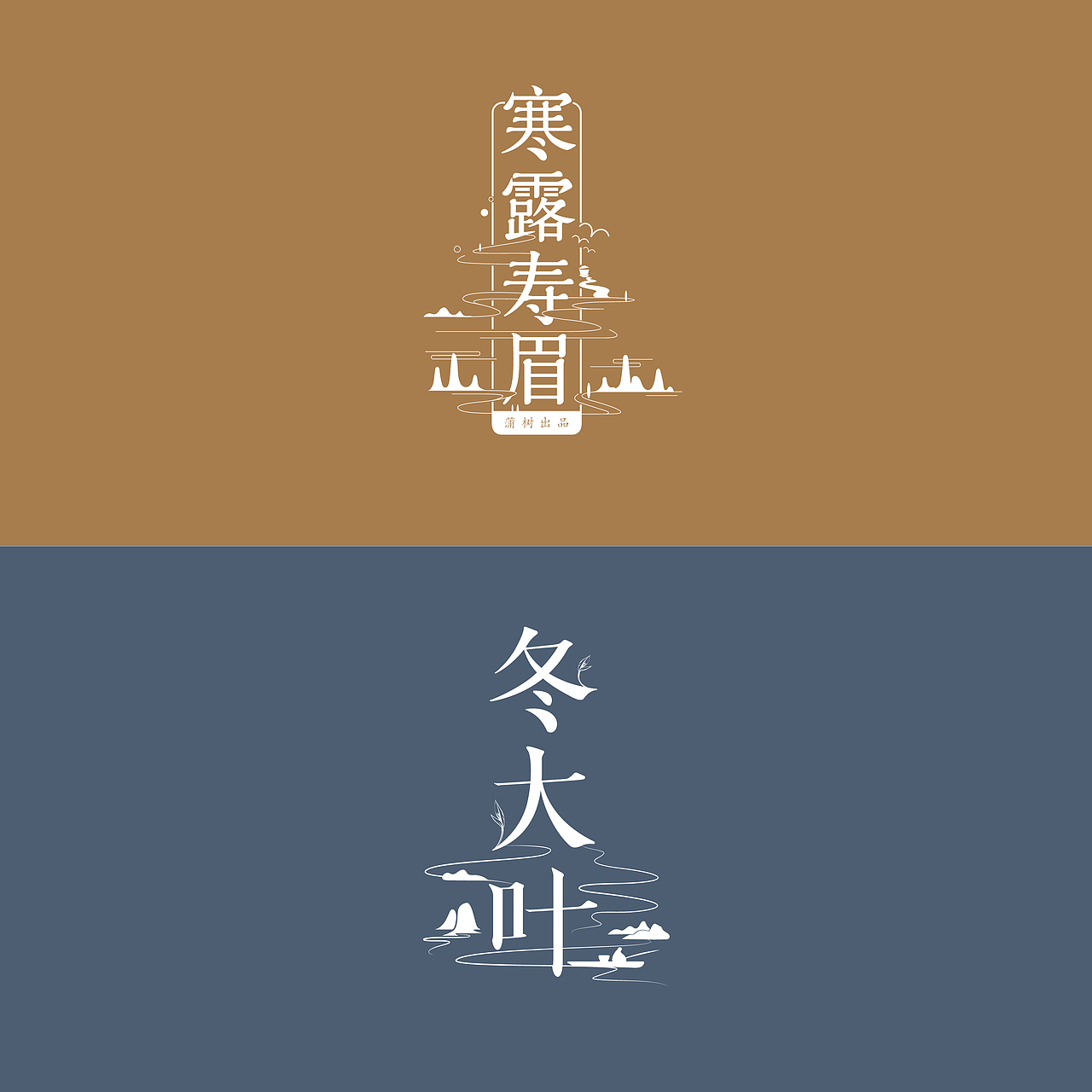 {琢品牌}四季白茶