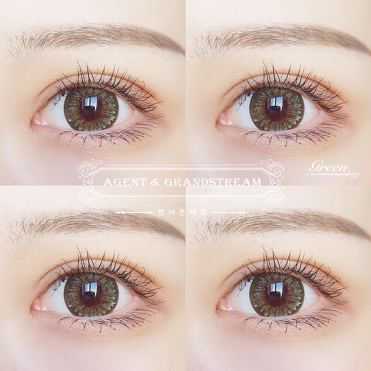 Calendula年拋2片裝시리즈