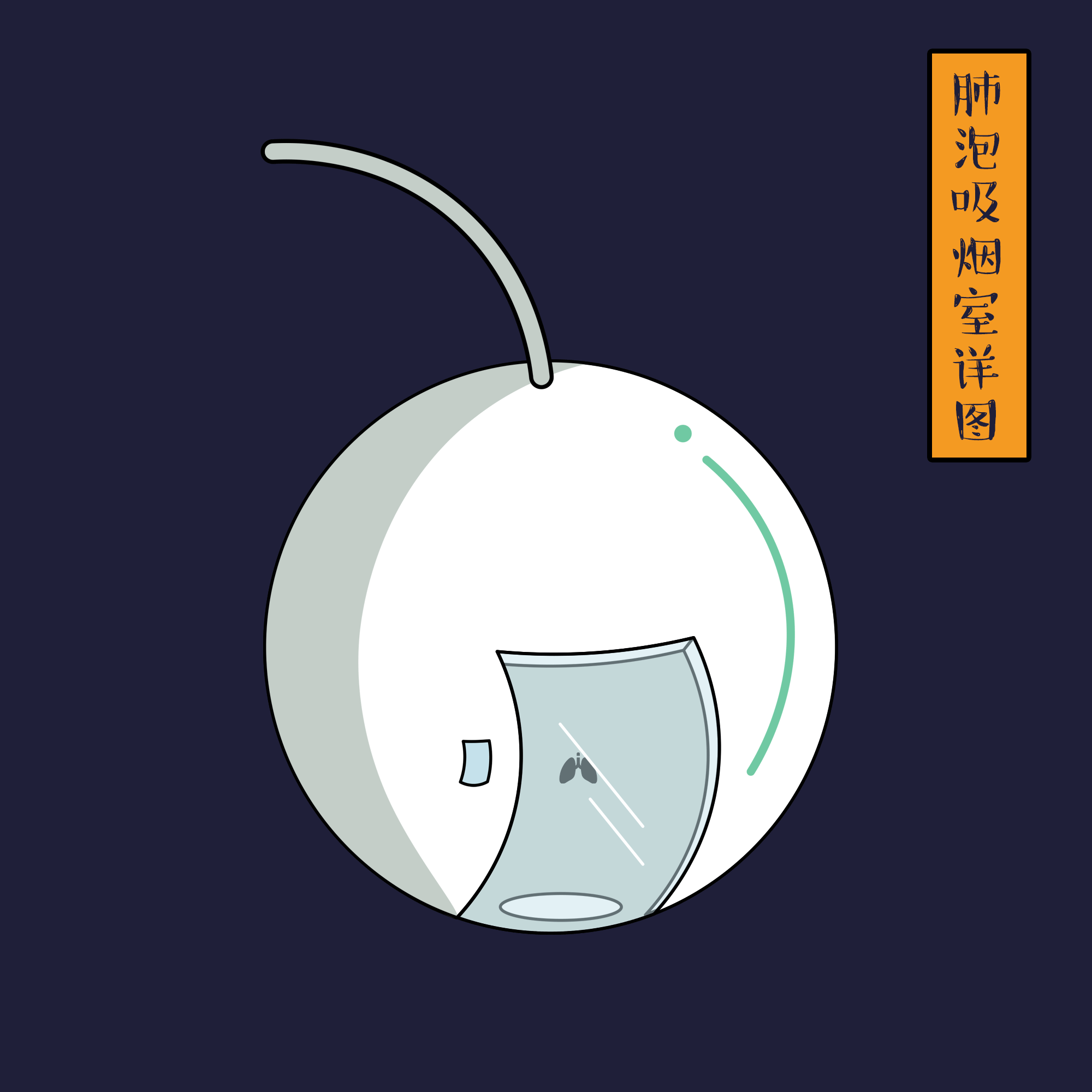 Normal&Lesion日常与无常-器官病变体验中心