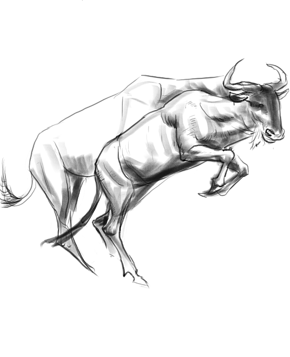 地铁上练习（动物篇）（图ZMTQ4MTk0NzI4） - 创作习作 - 站酷设计师S肚子爱画画D原创素材 - 站酷ZCOOL