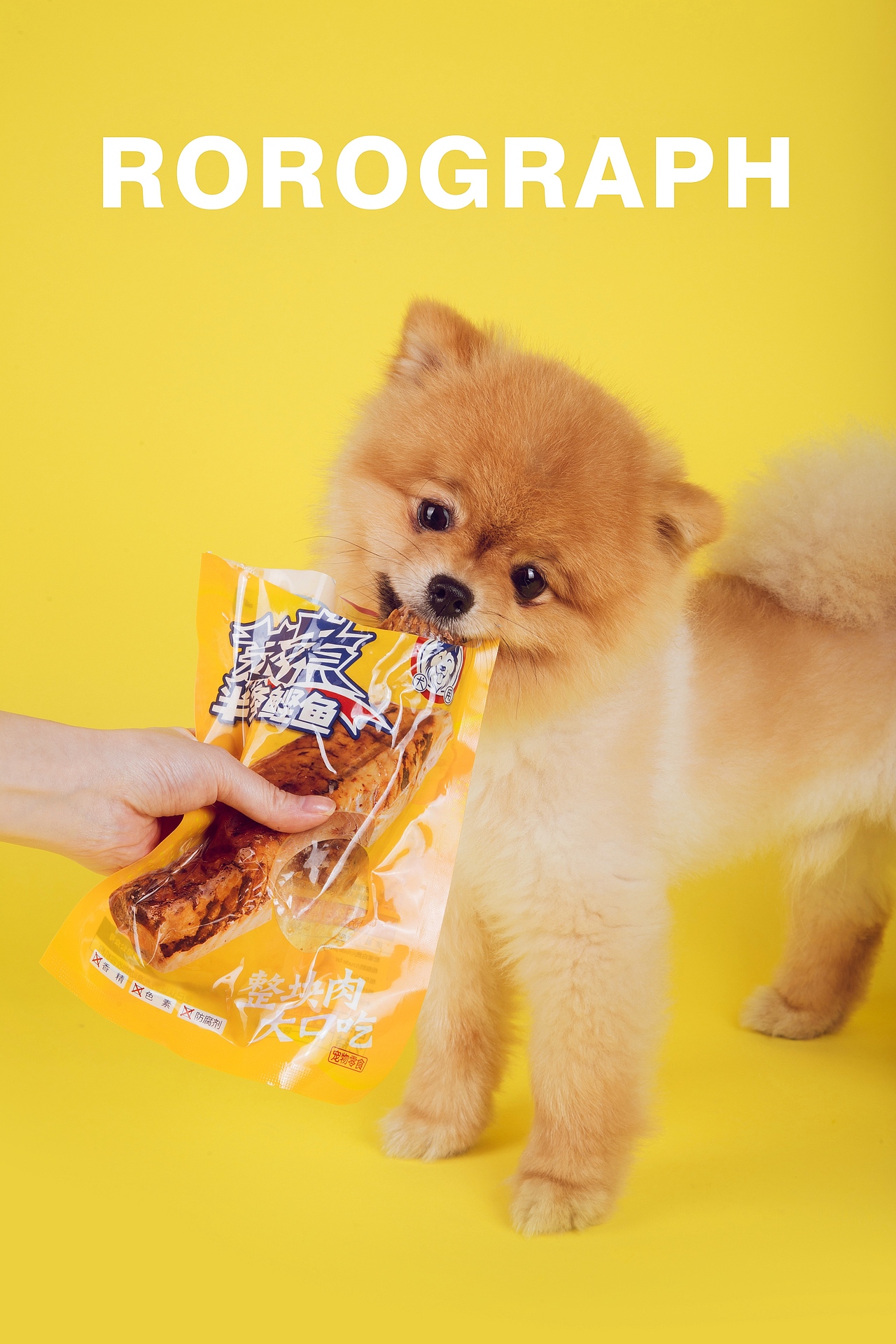 傻白甜BIUBIU爱吃蒸煮肉肉