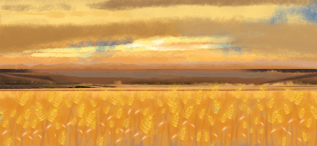 麦子|插画|商业插画|小雨爷 - 原创作品 - 站酷 (zcool)