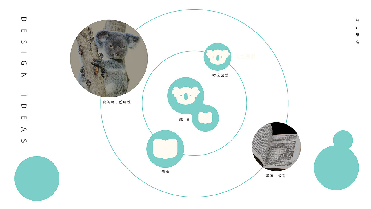 考拉丹尼少儿英语品牌设计