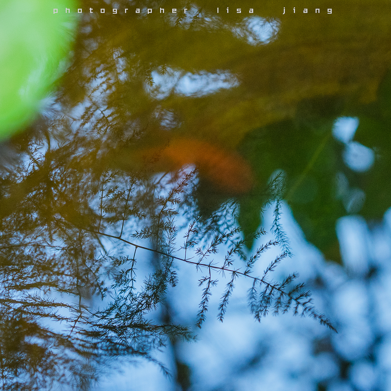 小品四季（图ZMTA4NTgyNjY4） - 产品摄影 - 站酷设计师挲lisa原创素材 - 站酷ZCOOL