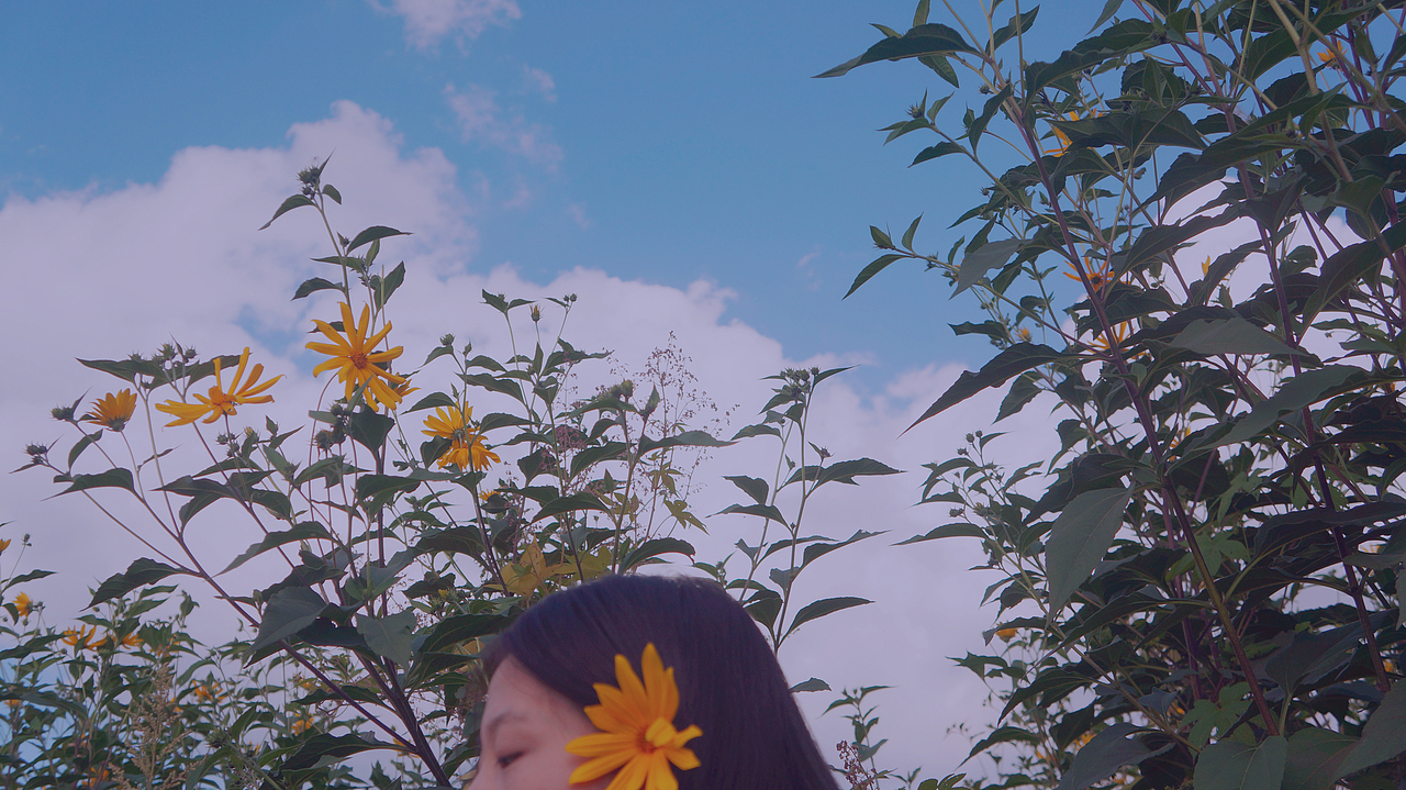 花事频繁的季节,我无声的受伤