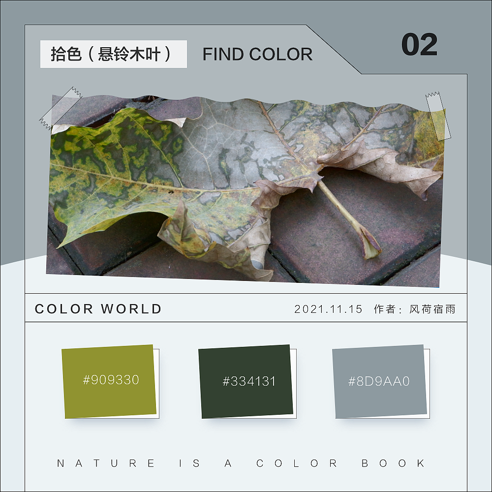 色彩（悬铃木）（图ZMjgyNzQ3MzE2） - 其他 - 站酷设计师风荷宿雨原创素材 - 站酷ZCOOL