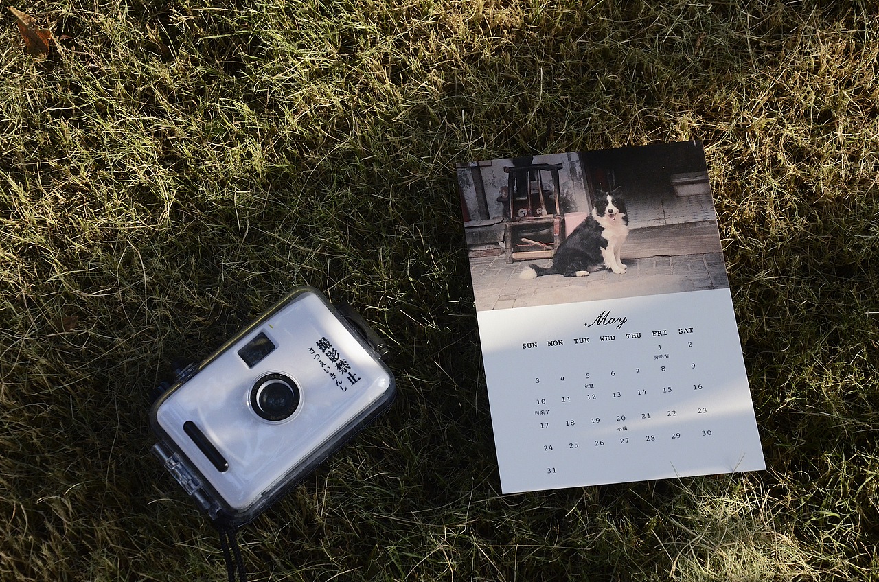 照片上色158572刘杨01:30:10快速人像摄影布光指南103496老飘飘日历1