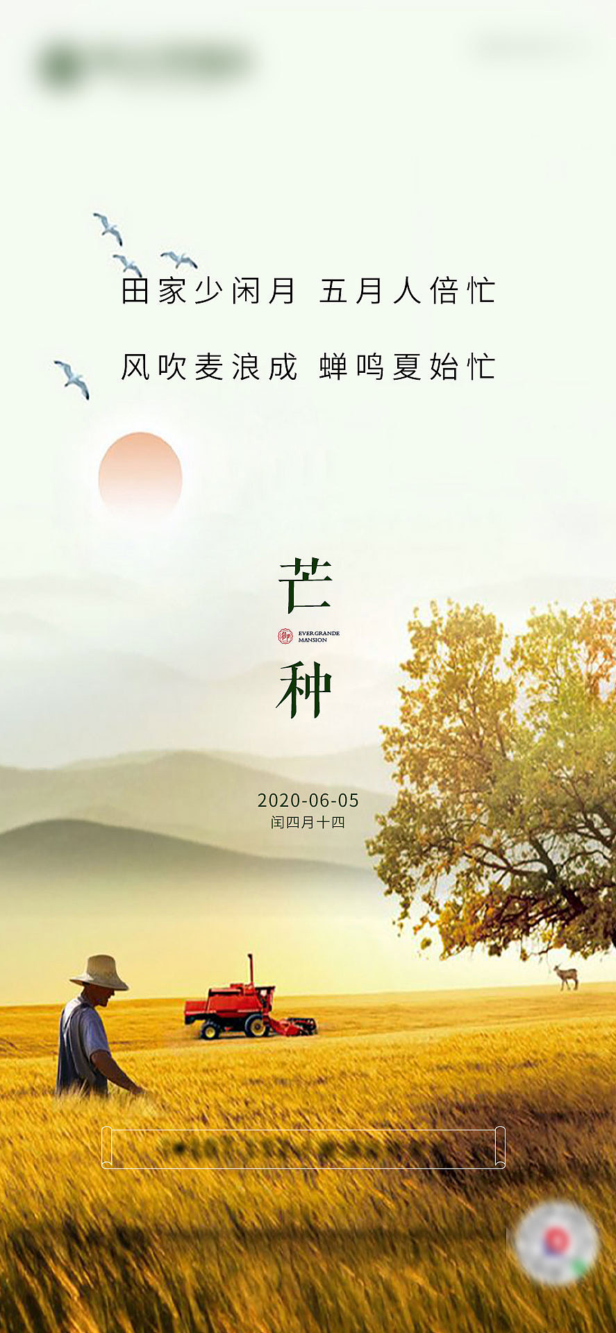 芒种（图ZMjEwMjI2MzQw） - 海报 - 站酷设计师一笑而过1231原创素材 - 站酷ZCOOL