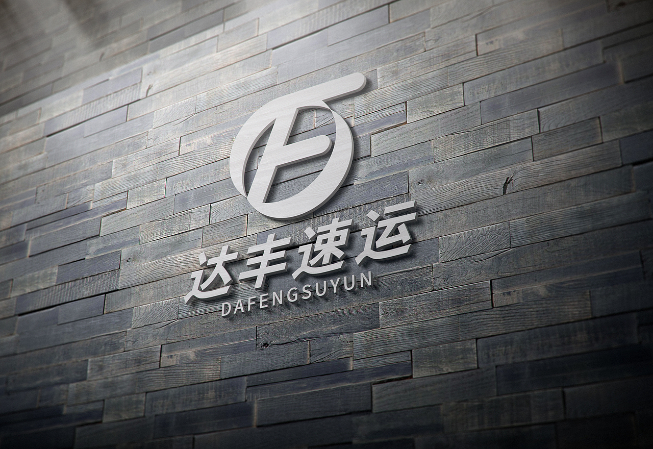 达丰速运 LOGO设计 VIS视觉展示