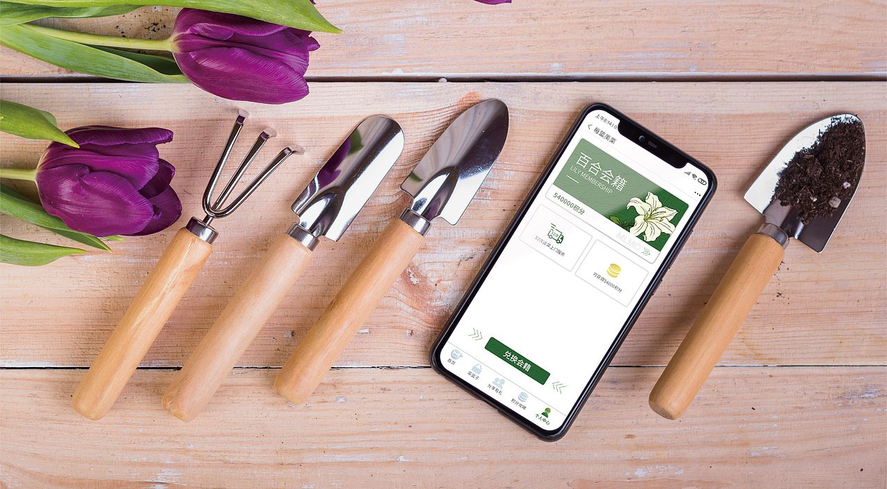 每篮美菜小程序