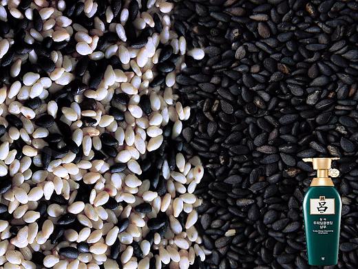 去屑洗发水——芝麻篇（个人主页-ZMjg2MTQ5NDg=） - 海报 - 站酷设计师姜有才原创素材 - 站酷ZCOOL