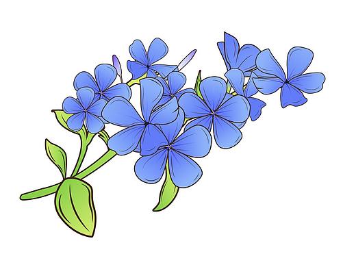 元素（个人主页-ZNTM1MzQwNjA=） - 创作习作 - 站酷设计师wwAngel原创素材 - 站酷ZCOOL