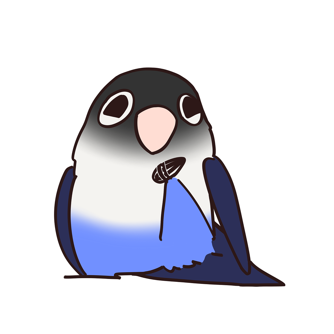 黑脸鹦鹉表情包