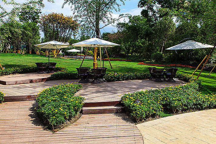 独尊建筑摄影:世茂城景观