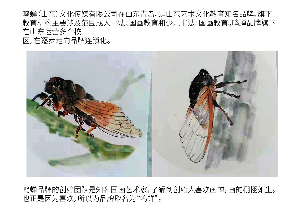 如何塑造可视化品牌资产？鸣蝉教育品牌LOGO设计复盘（图ZMjQzNTU0MDY0） - Logo - 站酷设计师梦品牌原创素材 - 站酷ZCOOL