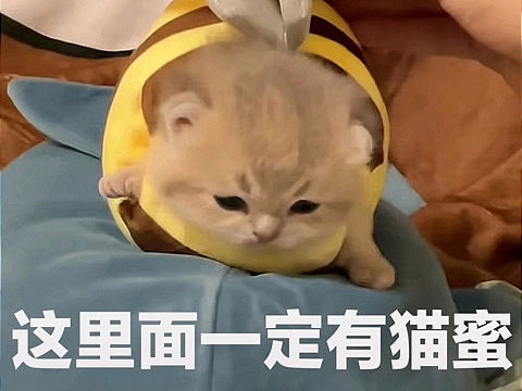 8月练习汇总
