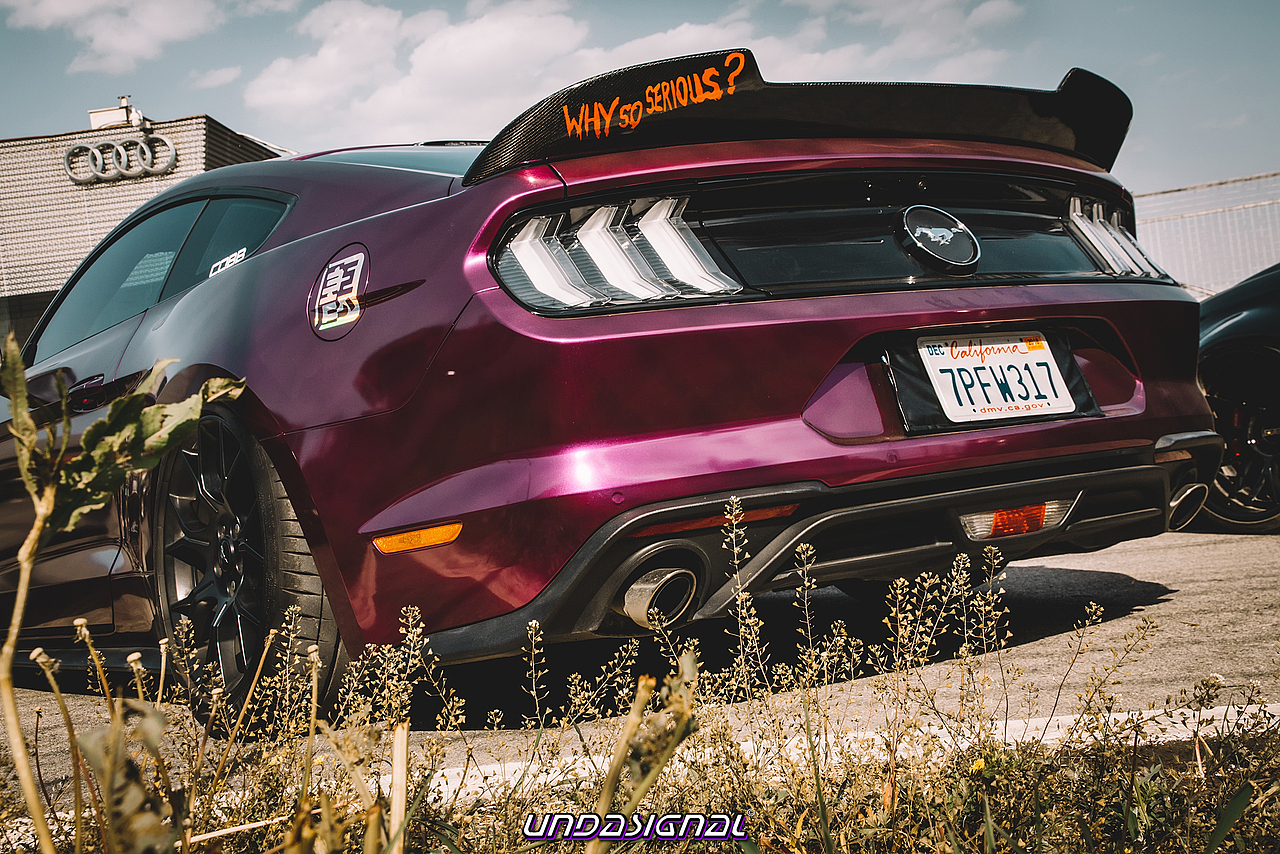 汽车摄影|金港复苏节