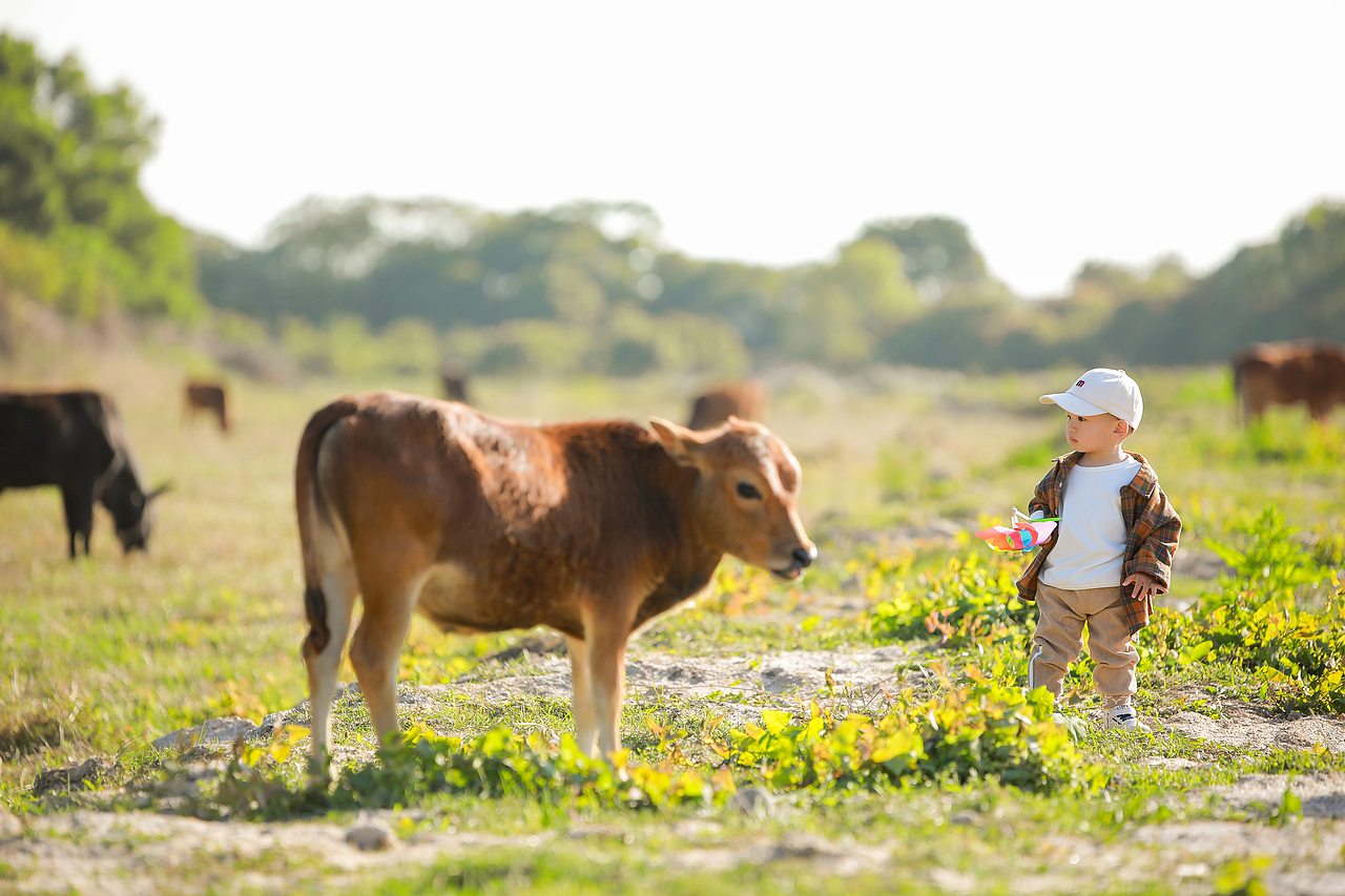 春天系列&1歲4個月（圖ZMjk2NDM0MTA4） - 人像攝影 - 站酷設(shè)計師Cici小焌熙原創(chuàng)素材 - 站酷ZCOOL