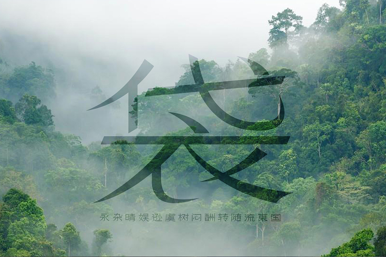 三款字样青丝黑、青锐黑、青艺宋（图ZMjI0Mjc1MTg4） - 字体/字形 - 站酷设计师后河原创素材 - 站酷ZCOOL